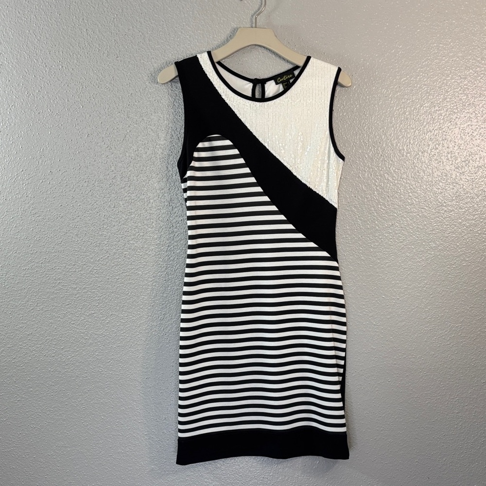 Elegant Black and White Striped Mini Dress